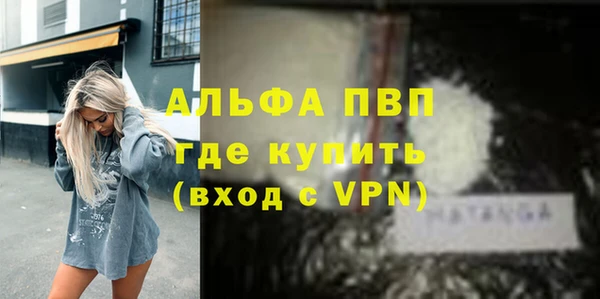 трава Няндома