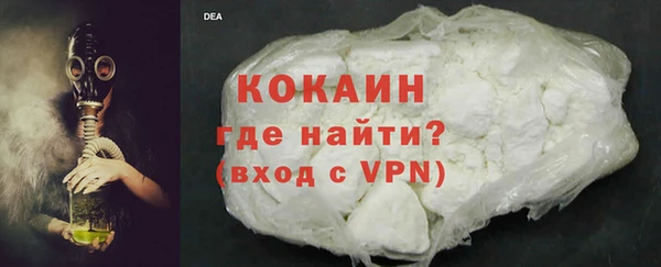 трава Няндома