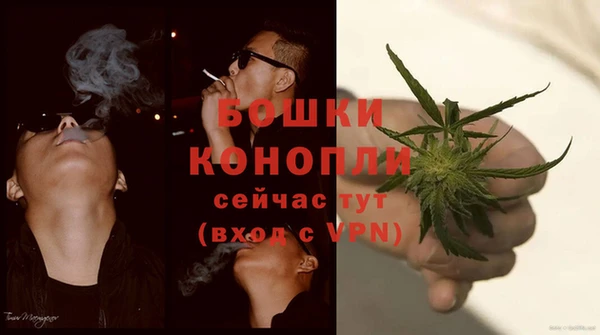 молекула духа Осинники