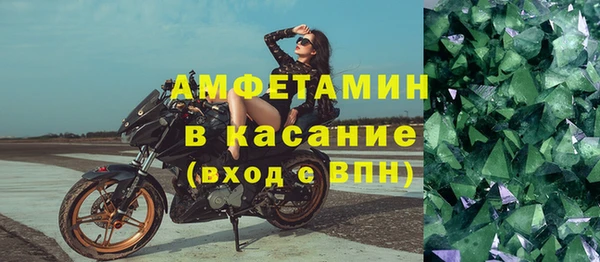 трава Няндома