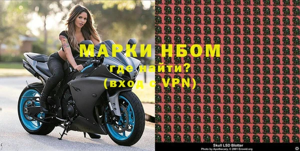 сатива Осташков