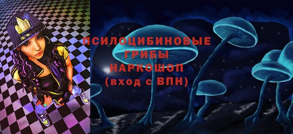 прущие грибы Нягань
