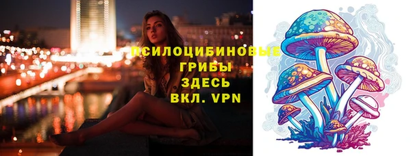 трава Няндома