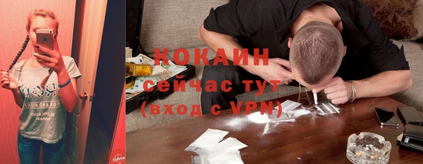 прущие грибы Нягань