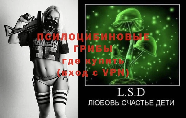 трава Няндома
